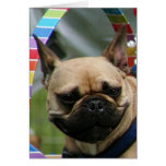 French bulldog Notecard