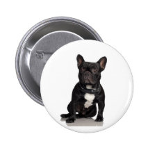French Bulldog Pinback Buttons