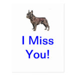 French Bulldog Post Card