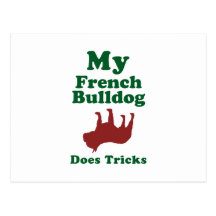French Bulldog Post Card