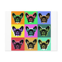 French bulldog