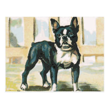 French Bulldog Postcards