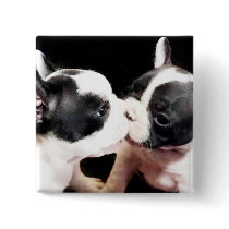 French bulldog puppies pinback button