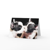 French bulldog puppies card