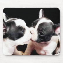 French bulldog puppies mouse mats