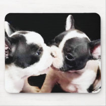 French bulldog puppies use mats