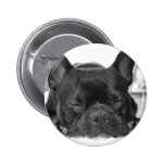 French Bulldog Round Button buttons