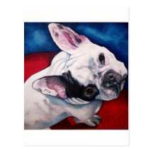 French Bulldog, White and Black Postcard
