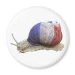 French edible snail refrigerator magnet