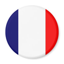 French Flag Design - OUI ! Fridge Magnet