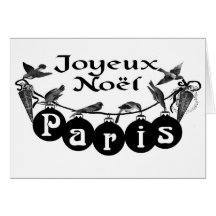 French Joyeux Noel Paris Chirstmas Birds Card