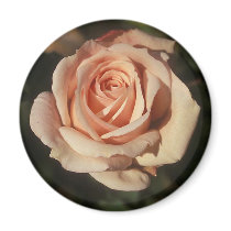 French Lace Refrigerator Magnets