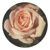 French Lace Round Sticker