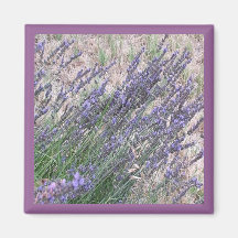 French Lavender Magnet