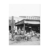 French Market, New Orleans, 1910 Postcard