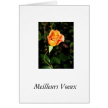 French,Meilleurs Voeux Cards