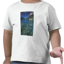 French Polynesia, Moorea. Cooks Bay. Cruise ship Shirts