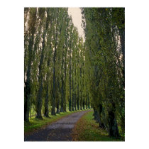 French Road posters
