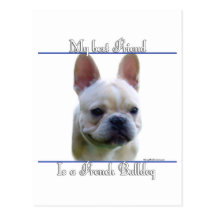 Frenchie Best Friend 2 Postcards