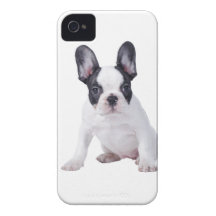 Frenchie iPhone 4 Cover