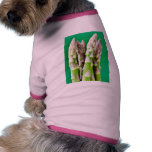 Fresh Asparagus On Green Background pet clothing