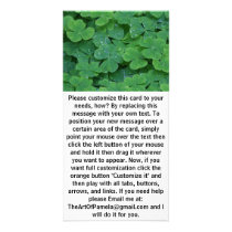 Fresh Clover Green Leafs