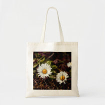 Fresh Daisy flowers bags