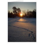 Fresh Deer Tracks at Sunrise Card