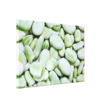 Fresh fava beans gallery wrapped canvas