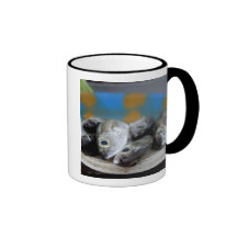 Fresh fish on fish market Mercado de Peixe), Coffee Mugs