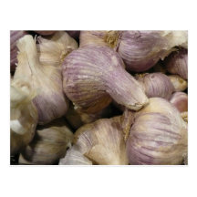 Fresh Garlic Postcards