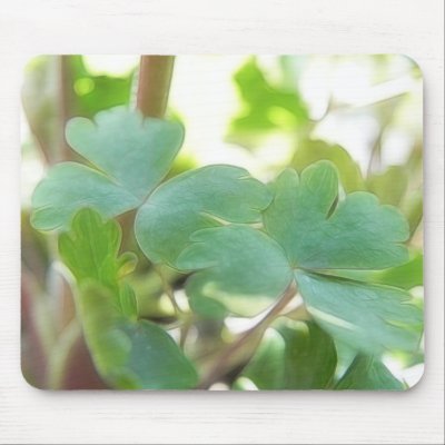 Fresh Green Columbine Foliage Mouse Pad by Pretty_World