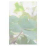 Fresh Green Columbine Foliage Stationery