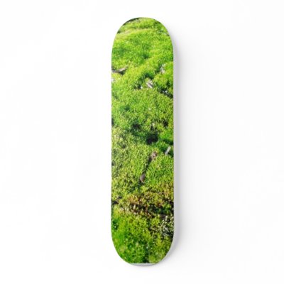 Fresh Green Moss With Some Stones Around. Skate Deck by lifesphere