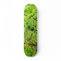 Fresh Green Moss With Some Stones Around. skateboards