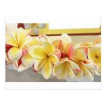 Fresh Lei # 7 Postcard