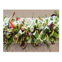 Fresh Lei # 8 Postcard