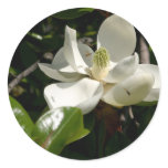 Fresh Magnolia Bloom Round Sticker