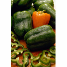 Fresh orange and green bell peppers acrylic cut out