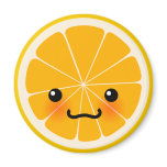 Fresh Orange Magnet