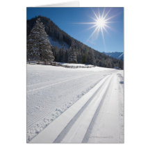 fresh prepared cross-country ski run in a 2 card