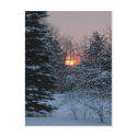 Fresh Snow at Sunrise postcards