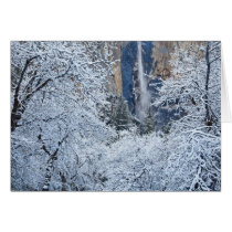 Fresh snowfall in the trees below Bridalveil Greeting Cards