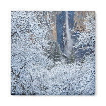 Fresh snowfall in the trees below Bridalveil Fridge Magnet