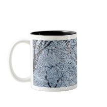 Fresh snowfall in the trees below Bridalveil Mugs