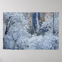 Fresh snowfall in the trees below Bridalveil