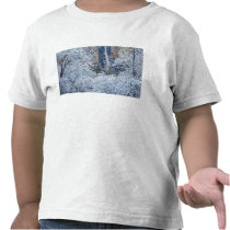 Fresh snowfall in the trees below Bridalveil Shirt