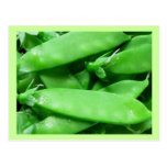 Fresh Spring Peas Post Card
