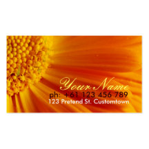 Fresh Surprise 2 Business Card