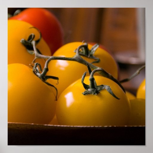 Fresh Tomato's Poster